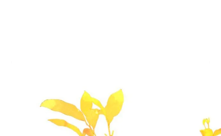 61 Pensé que tenía fecha límite