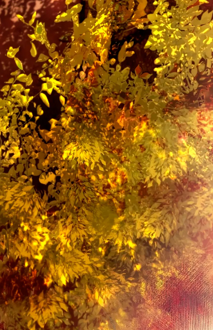 20 Pensé que tenía fecha límite