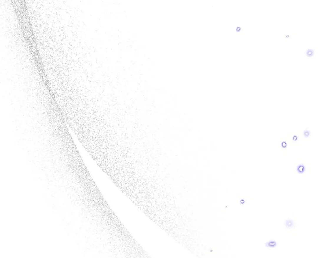 9 Pensé que tenía fecha límite