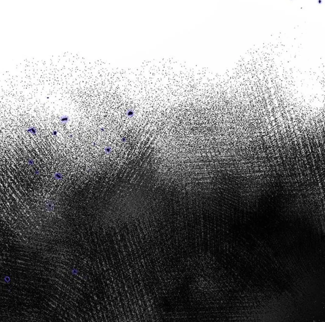 46 Pensé que tenía fecha límite