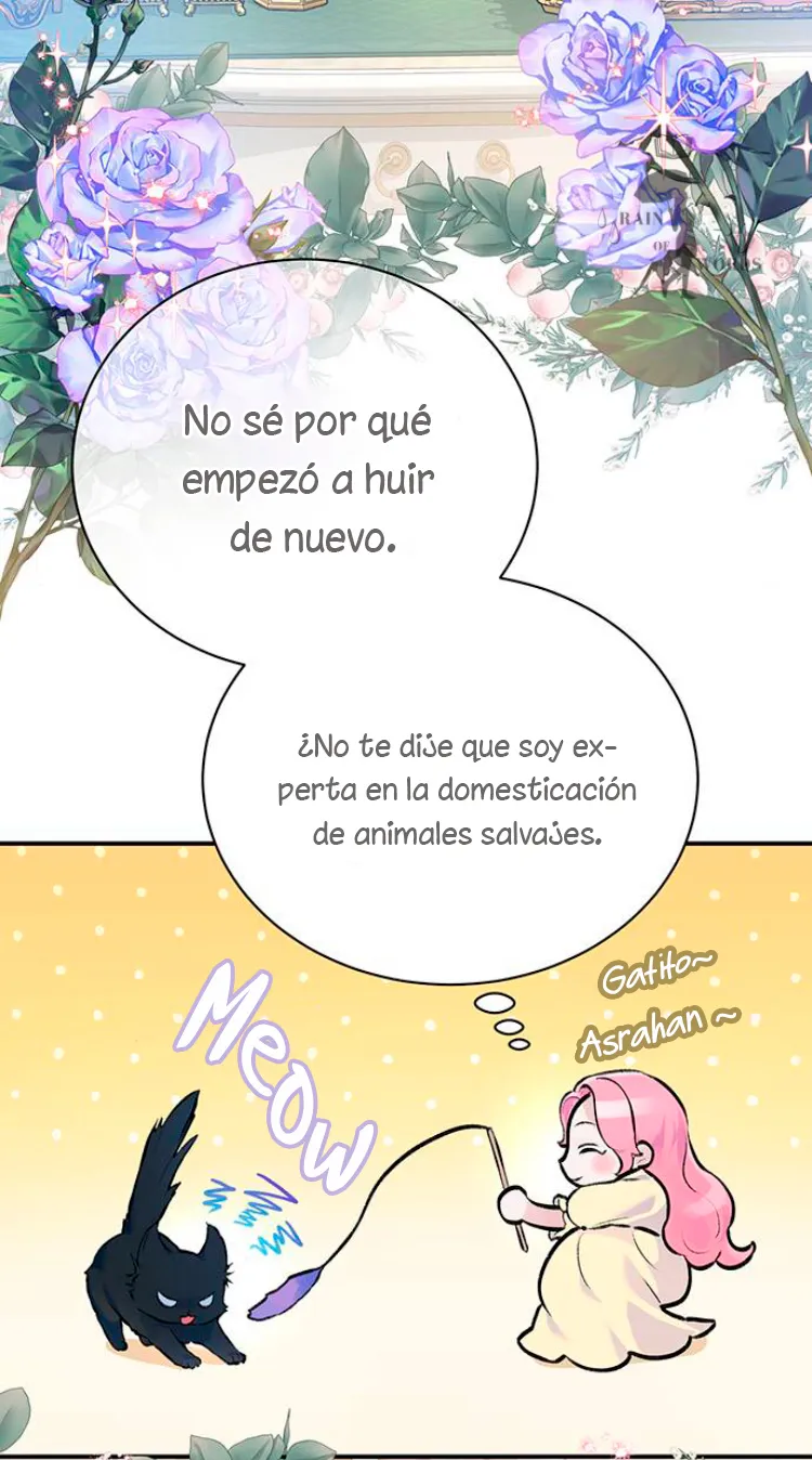 26 Pensé que tenía fecha límite