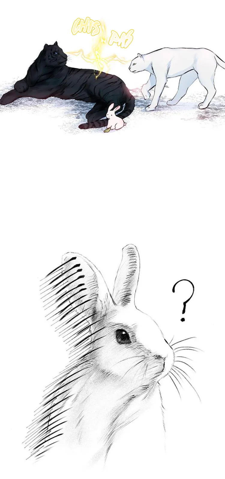 8 Pensé que tenía fecha límite