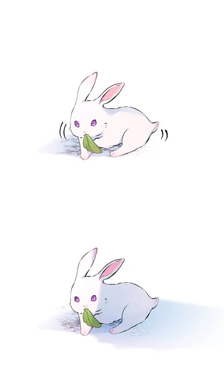 7 Pensé que tenía fecha límite