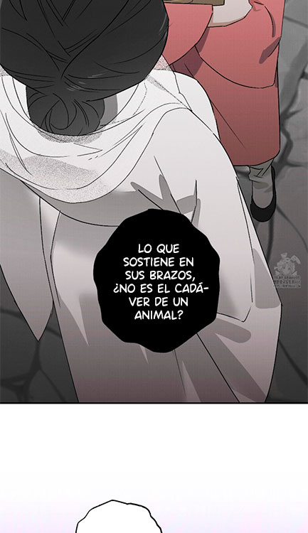 19 Relatos nocturnos