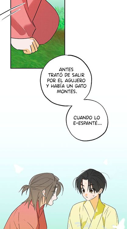 36 Relatos nocturnos