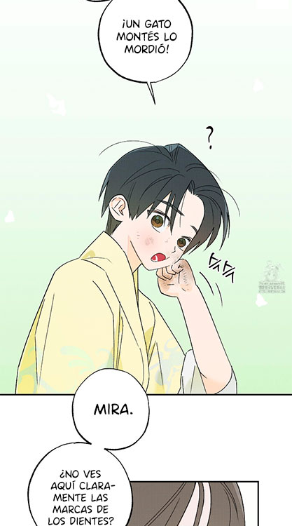 34 Relatos nocturnos