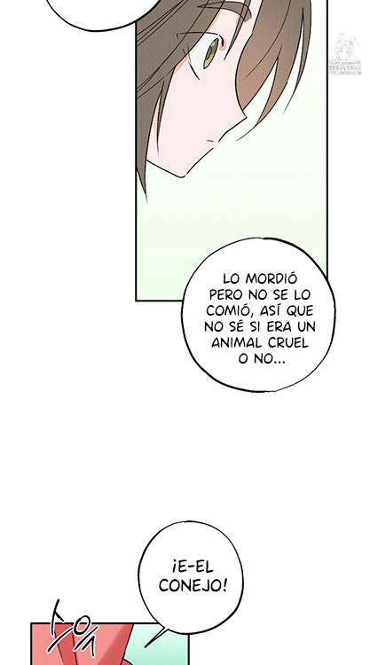 35 Relatos nocturnos