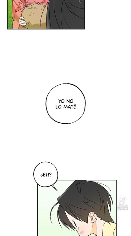 32 Relatos nocturnos