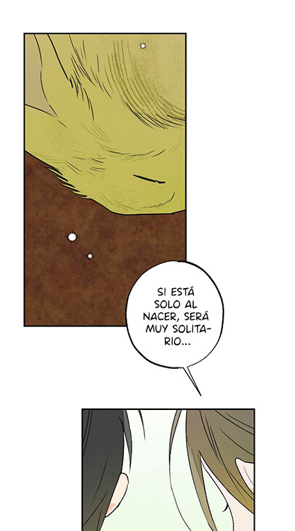 43 Relatos nocturnos