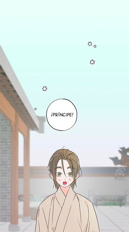 51 Relatos nocturnos