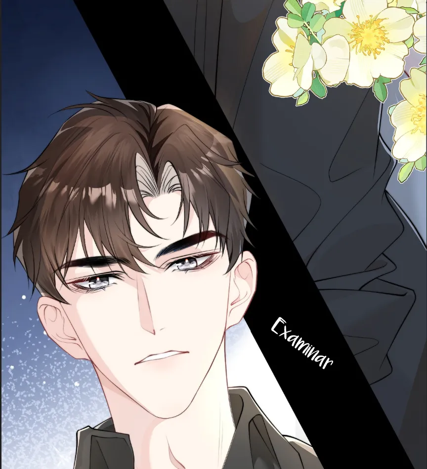 81 Caí en su trampa