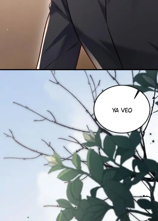 25 Caí en su trampa