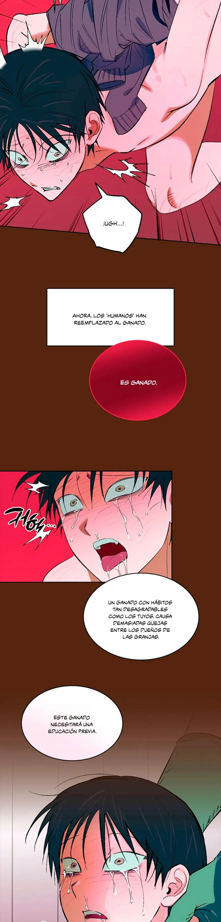 1 Informe del Rancho Humano