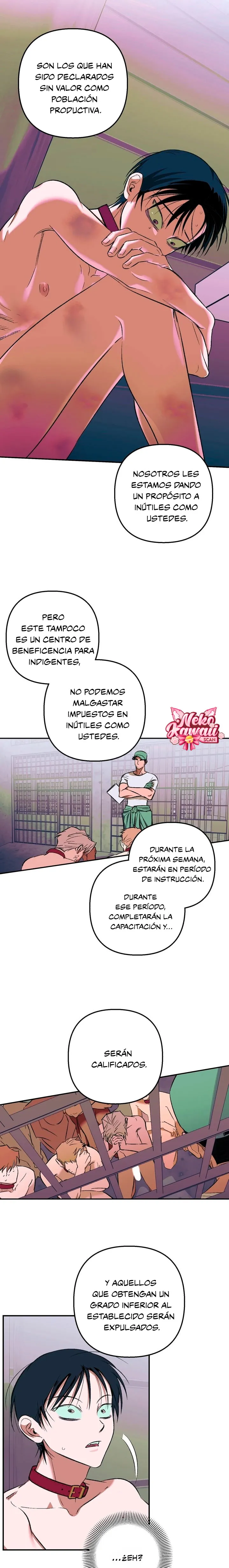 6 Informe del Rancho Humano