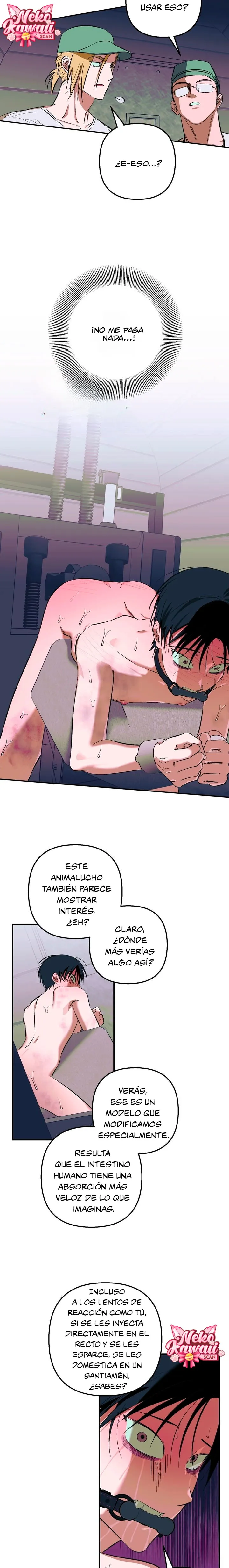 12 Informe del Rancho Humano