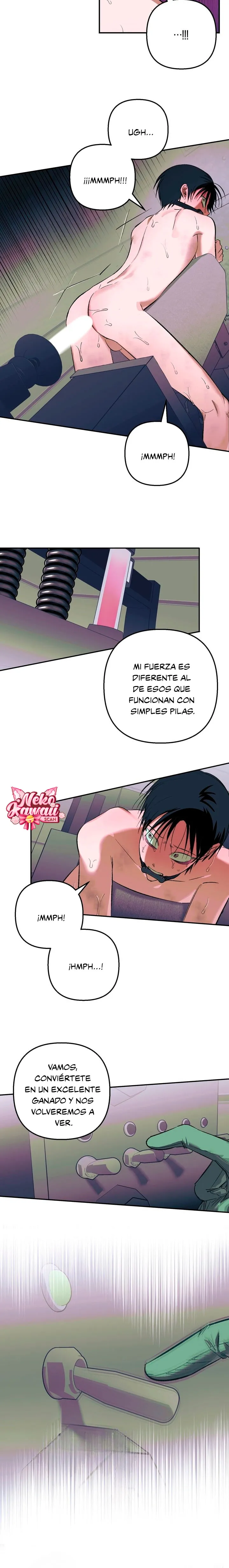 13 Informe del Rancho Humano