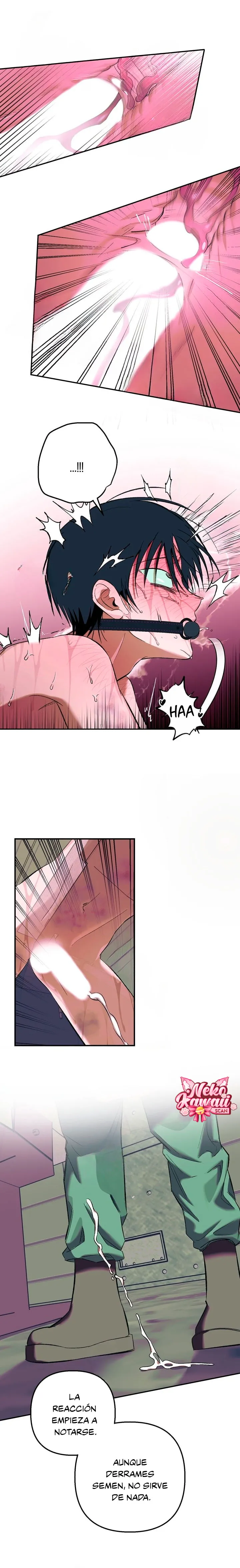 15 Informe del Rancho Humano