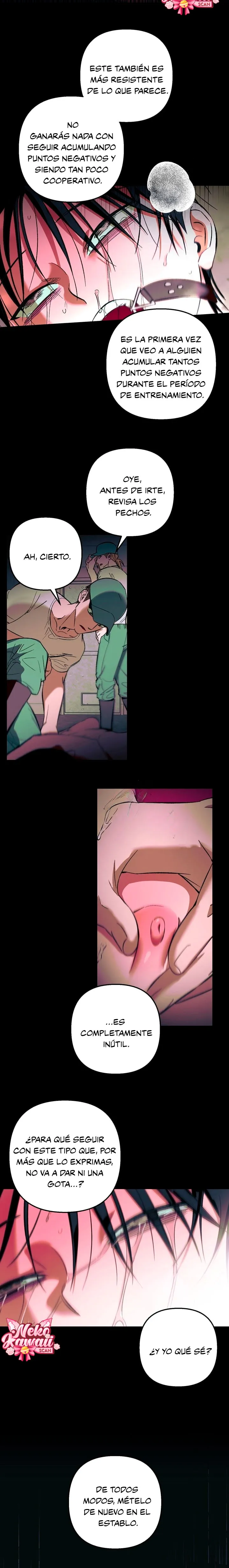 5 Informe del Rancho Humano