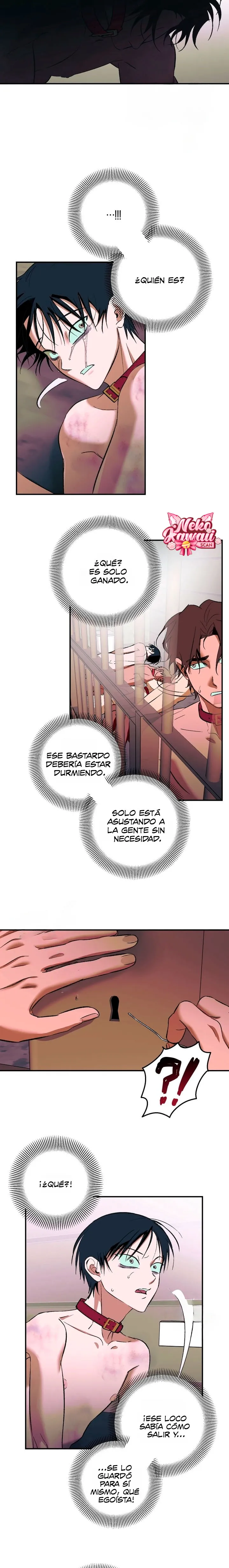 9 Informe del Rancho Humano