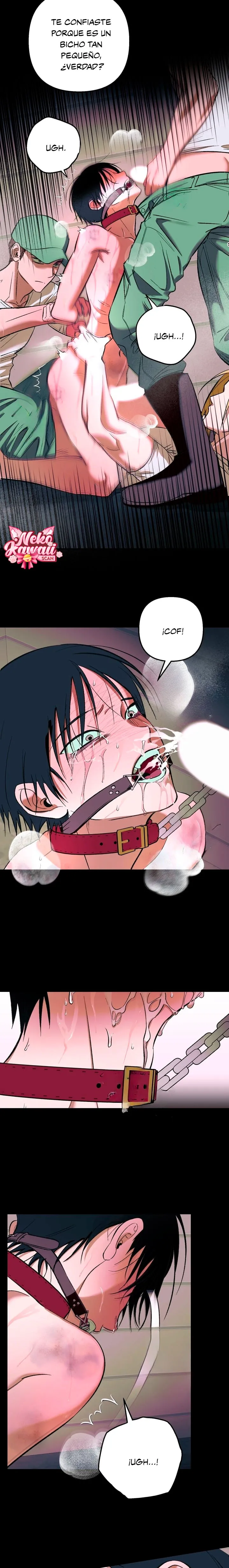 2 Informe del Rancho Humano