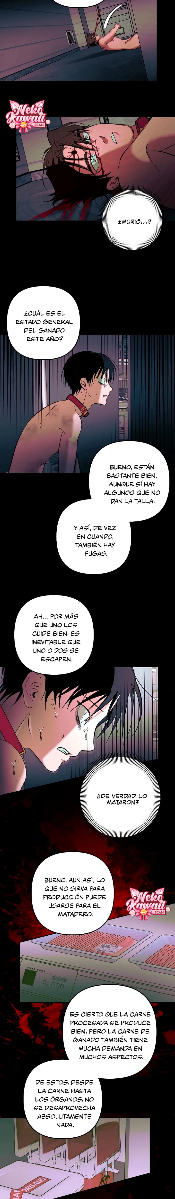 15 Informe del Rancho Humano