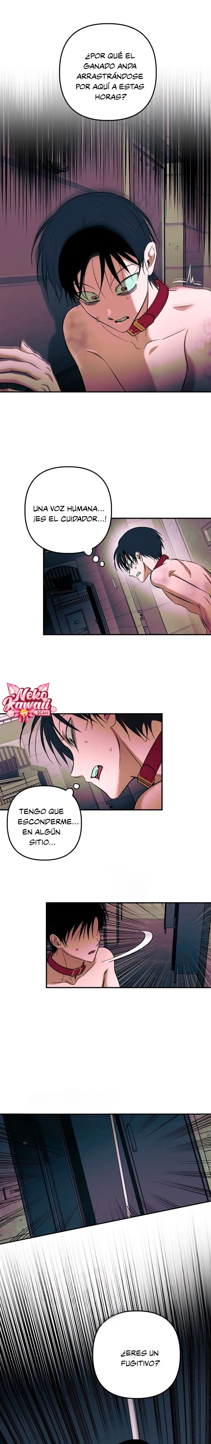 13 Informe del Rancho Humano