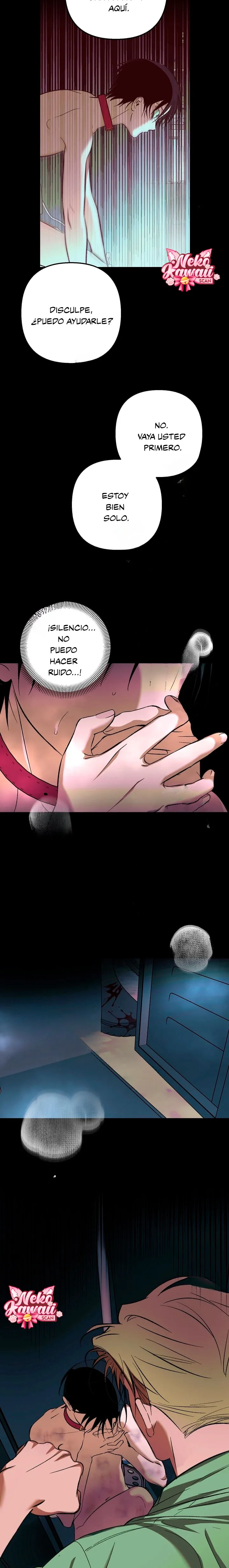 17 Informe del Rancho Humano