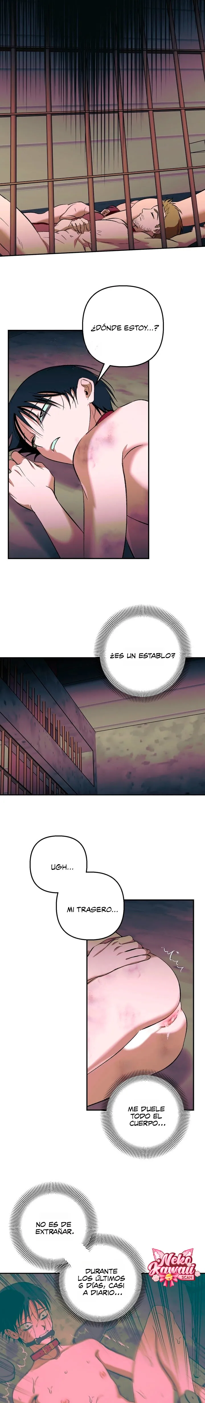 7 Informe del Rancho Humano