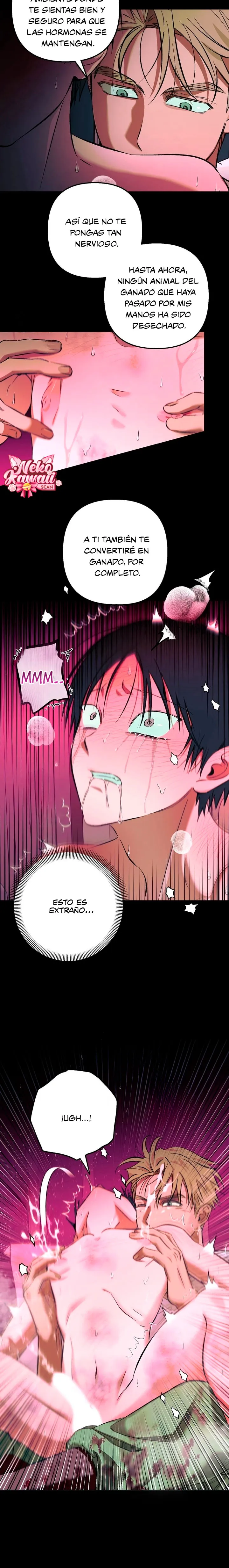 16 Informe del Rancho Humano