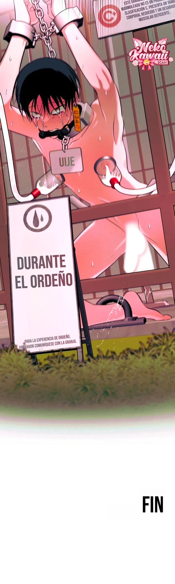 21 Informe del Rancho Humano