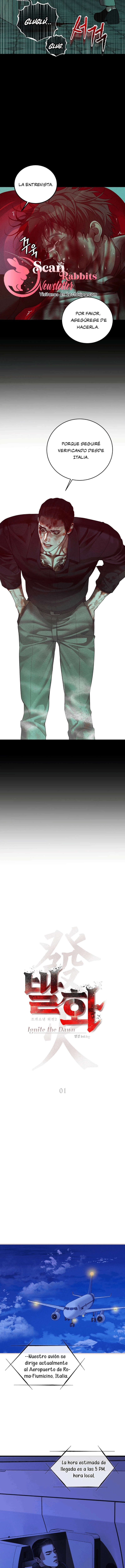 3 Shell Boy:  Enciende el amanecer