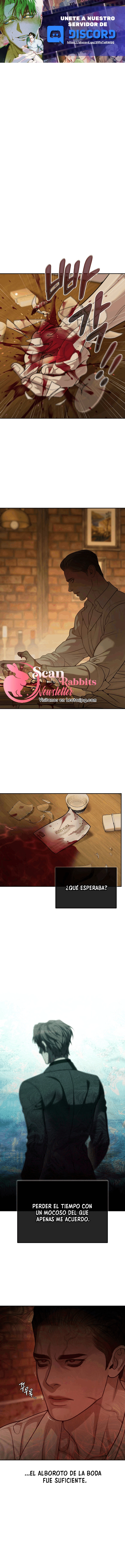 0 Shell Boy:  Enciende el amanecer