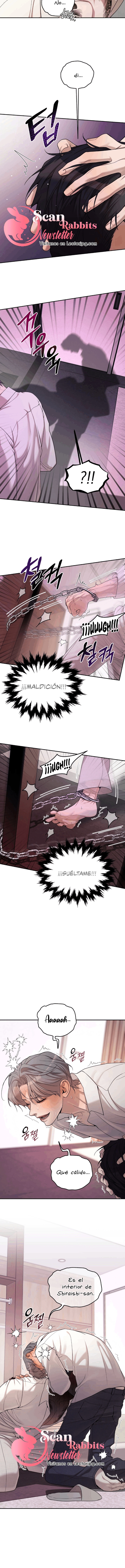 5 Shell Boy:  Enciende el amanecer