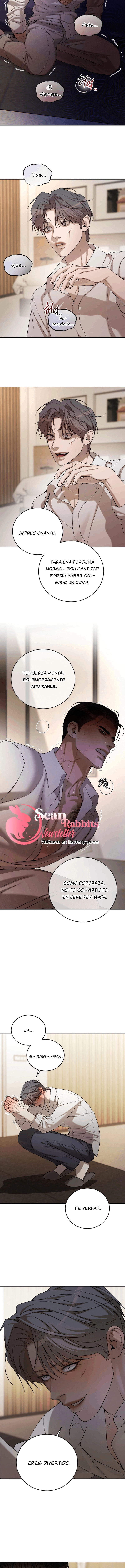 2 Shell Boy:  Enciende el amanecer