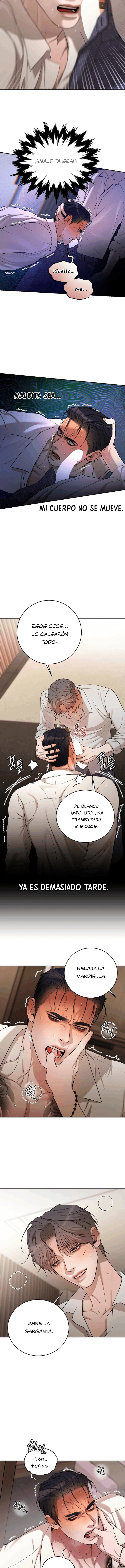 4 Shell Boy:  Enciende el amanecer