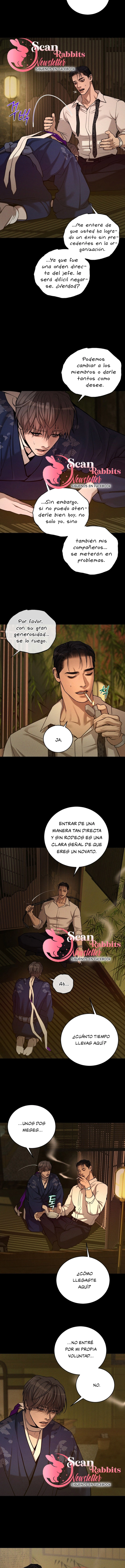 3 Shell Boy:  Enciende el amanecer