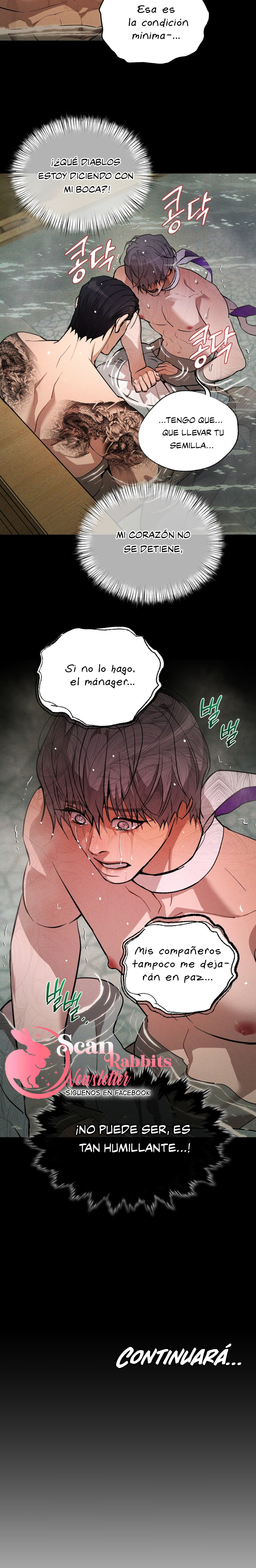 3 Shell Boy:  Enciende el amanecer