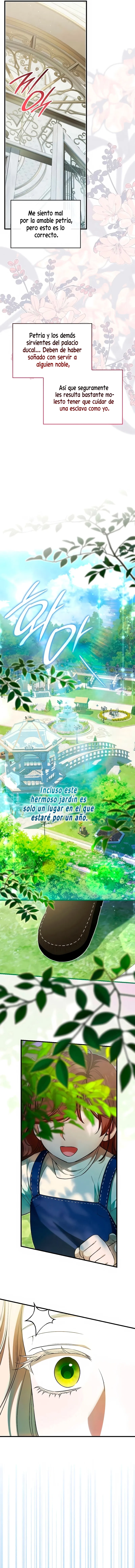 12 Si lo que deseas es una bruja atrevida...