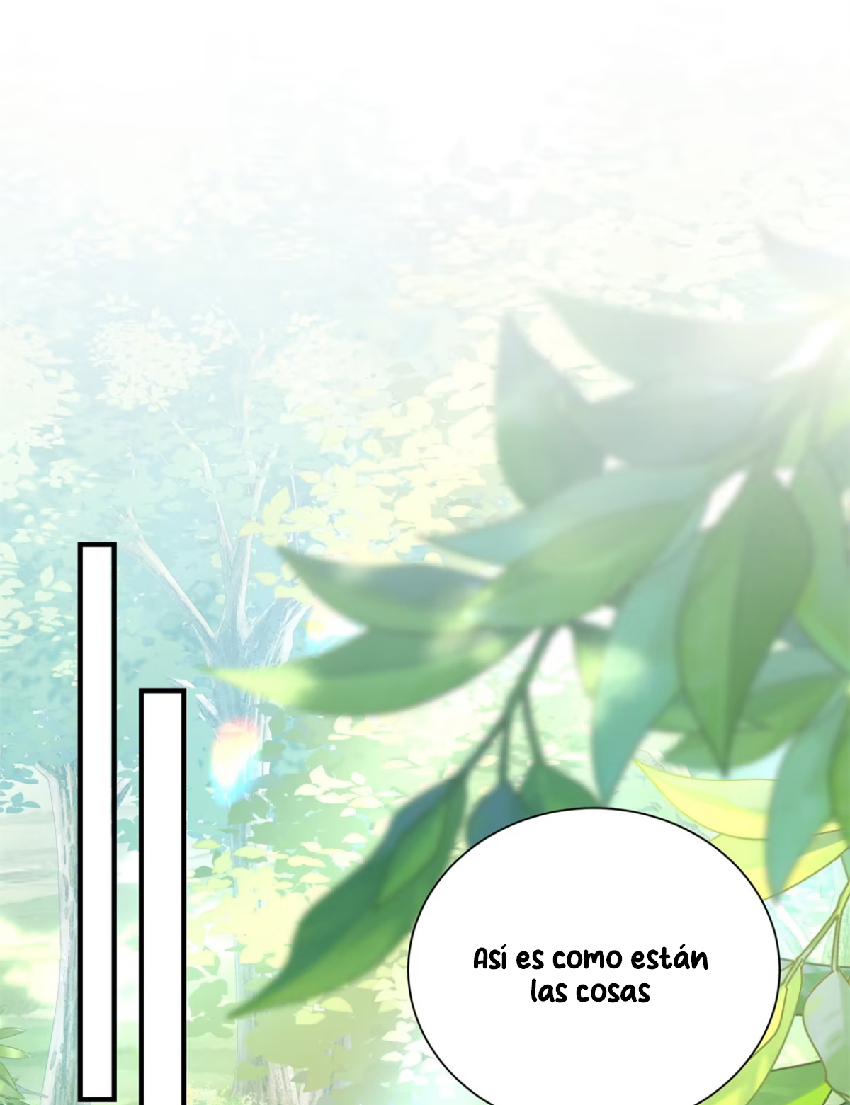 40 me convertí en la madre de cuatro bestias