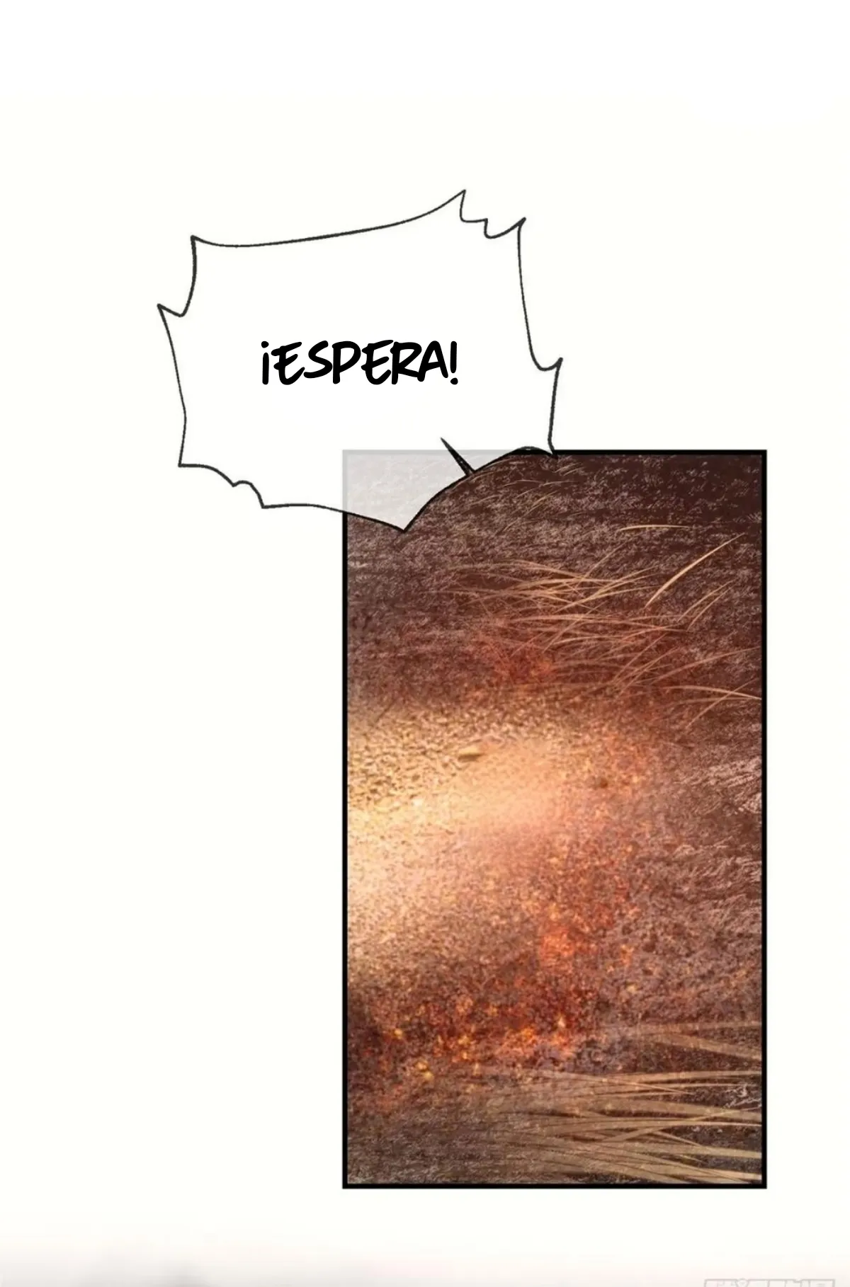 18 me convertí en la madre de cuatro bestias