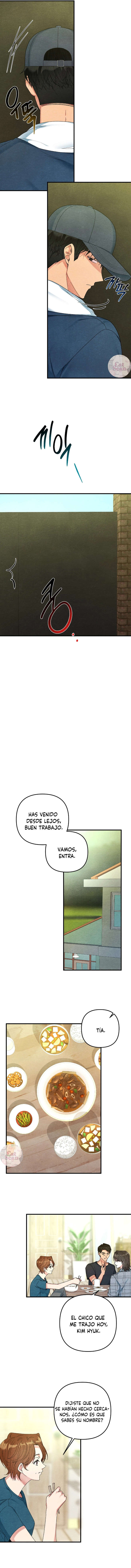 3 A mi albaricoquero