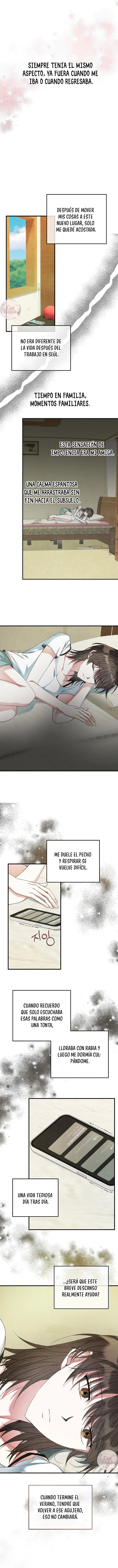 7 A mi albaricoquero