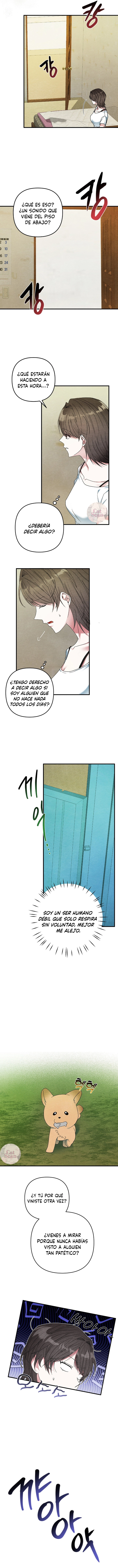 8 A mi albaricoquero