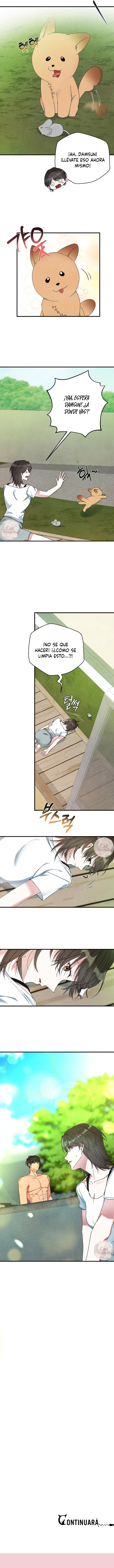 9 A mi albaricoquero