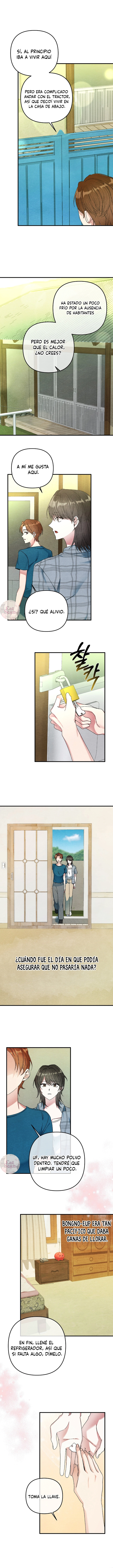 6 A mi albaricoquero