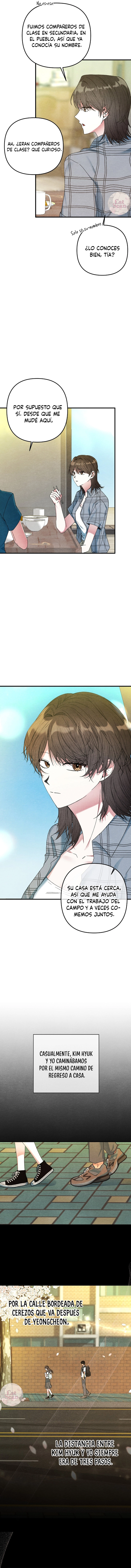 4 A mi albaricoquero