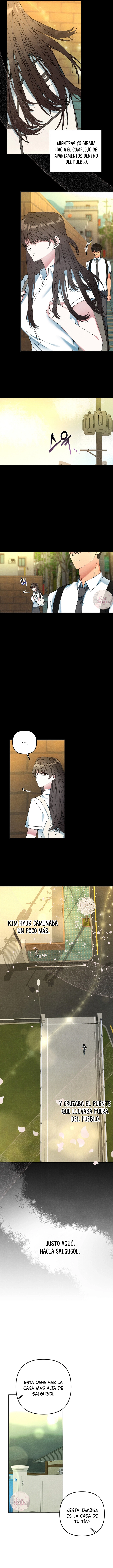 5 A mi albaricoquero