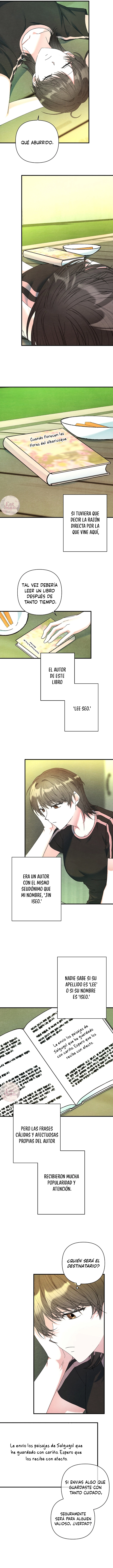 6 A mi albaricoquero