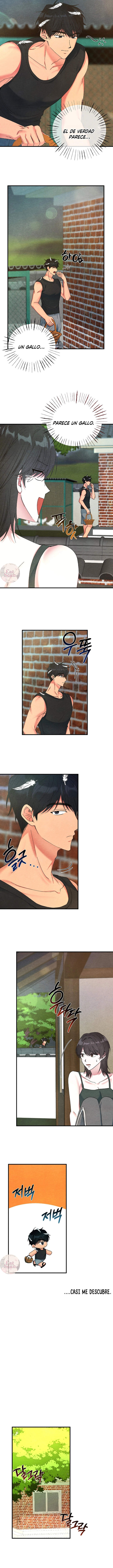 4 A mi albaricoquero