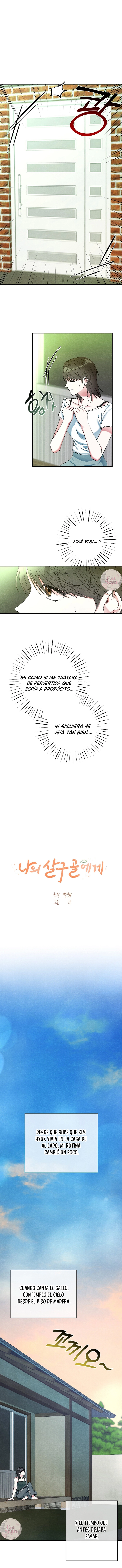 1 A mi albaricoquero